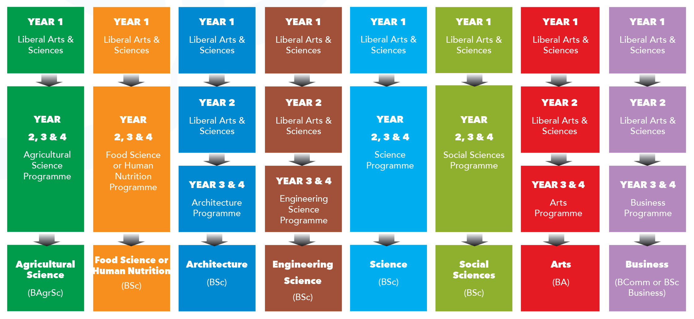 Liberal Arts Chart